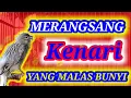 Download Lagu PANCINGAN KENARI MALAS BUNYI || PANCINGAN KENARI MACET TOTAL || PANCINGAN KENARI MACET BUNYI