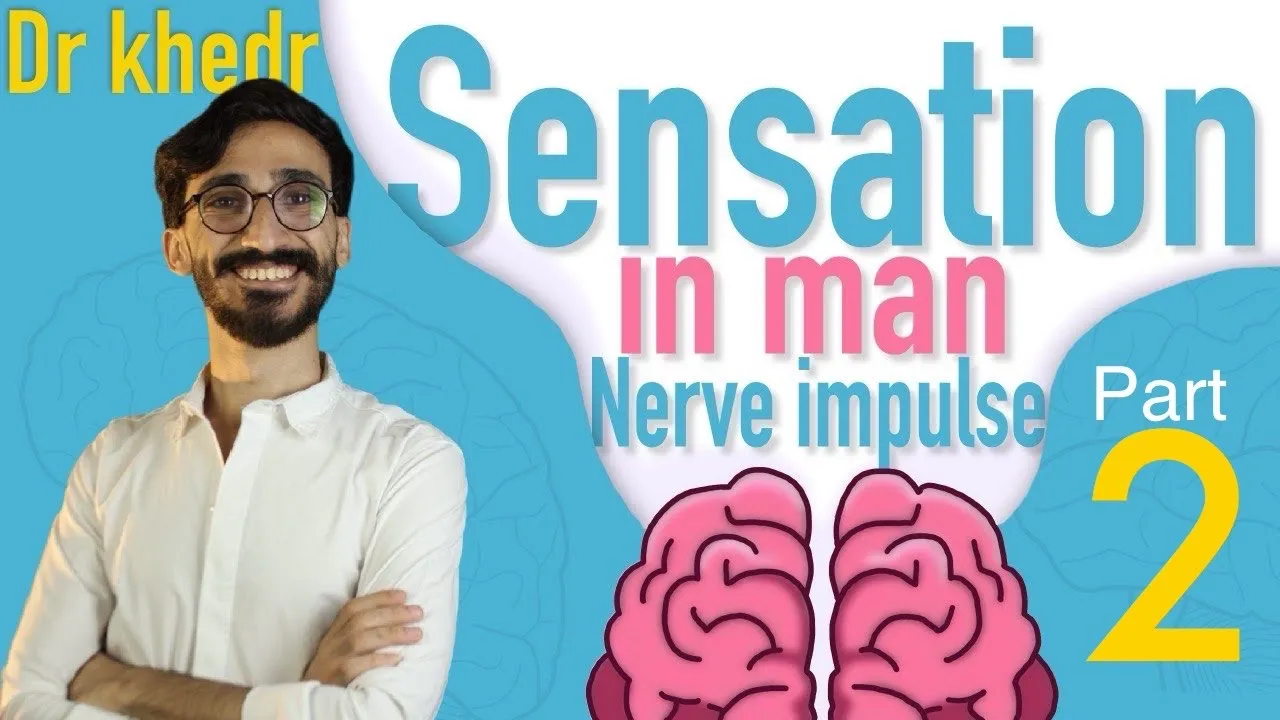 Biology | synapse | chapter 5 | second term | senior 2 | دكتور مصطفي خضر |2024