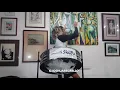 Machel Montano X Jacob (Kassav) - Dance Steelpan Cover