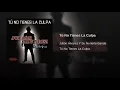 Tú No Tienes La Culpa - Julión Álvarez Y Su Norteño Banda (Tú No Tienes La Culpa - Single)