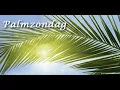 Lagu Hosanna de Heer redt