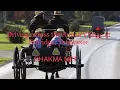 Amish village road trip in Ethridge Tennessee