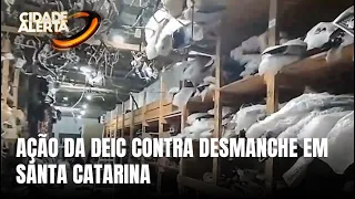 Operação 311 prende empresário e apreende peças de 12 veículos em SC