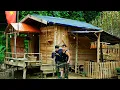 Download Lagu Help je de gewonden uit het diepe bos en ben je me heel dankbaar? | Thanh Duong