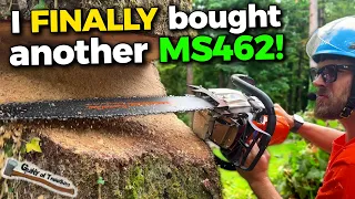 Kevin landed a $50,000 TREE JOB… So I Came to Help