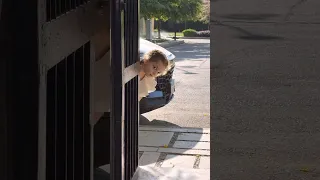 دخلت منزل غريب وكانت المأساء  دخلت منزل غريب وكانت المأساء