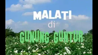 mang koko malati di gunung guntur