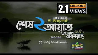  surah al baqarah last 2 ayat hafej fahad hossain mahfuz art of nature