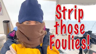 Beautiful offshore sailing, and we finally get WARM!