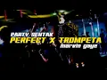Download Lagu PERFECT X TROMPETA X MARVIN GAYE - PARTY SENTAK [ ISRAN LIKAWA REMIX ] 2025?!!!