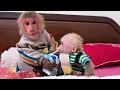 Download Lagu Monkey Bibi’s Sweet Memories Caring for Baby Monkey Lala
