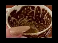 Scorpio When Life Says No This Happens Coffee Cup Reading