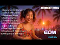 Download Lagu Shadows \u0026 Lights | Alan Walker Style EDM Chill Vibes [Best EDM Love Songs 2025]