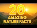 Lagu 20 natuurfeiten die je versteld zullen doen staan