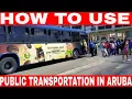 How to Use Public Transportation in Aruba - Save Money and Have Fun