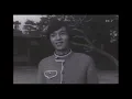 Norihiko Hashida & The Shoebelts (はしだのりひこ と シューベルツ) - Kaze (風) [RARE FOOTAGE]