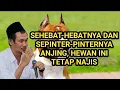 Download Lagu SEHEBAT DAN SEPINTER ANJING, HEWAN INI TETAP NAJIS II GUS BAHA