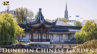 Dunedin Chinese Garden Tour Nov 2021 Lan Yuan Otago New Zealand Walking Tour 4K