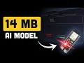 I Can t Believe This AI Model Fits in 14 Megabytes Needle 2