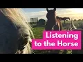 Download Lagu Listening to the Horse Documentary -  Full Length Horse Movie Part 1 of 7 (episode 1) - Elaine Heney