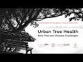 Beech Leaf Disease - Field Presentation with Margery Daughtrey 2026 IPM Annual Conference