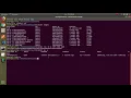 Setup MySQL Node and Angular in docker container