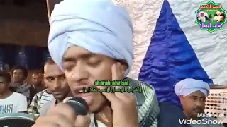 روائع حفلات السيده زينب 2019 حفلات الصعيد الشيخ محمد البرسي الكلالسه قنا 