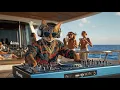 Download Lagu DJ MIAWW Live – Tech House Yacht Party 🌊🐾 | Sunset Beats on the Open Sea