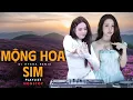 Download Lagu Mộng Hoa Sim Remix | Nonstop Chuyện Hoa Sim Bên Lưng Đồi | LK Các Bài Hát Hot Tiktok Trend| DJ HYENA