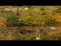 Blasterjaxx - Mystica (Goshfather & Jinco TR&P FLIP)