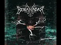 Borknagar - The Genuine Pulse