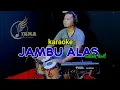 Download Lagu JAMBU ALAS KARAOKE (LAGU DUET) DIDI KEMPOET