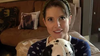 Xmas vlog 🎁🎄🎅🐾  #amandacerny #video #christmas #vlog
