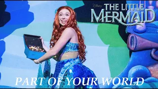 Download The Little Mermaid | Part of Your World | Live Musical Performance MP3