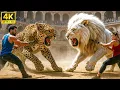 Lagu 🦁⚔️🐆 Epic Lion vs Leopard Showdown! Brutal Power Clash With a Shocking Final Twist 😱🔥