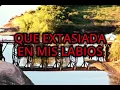 Puente Pexoa - Horacio Guarany [LETRA]