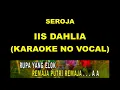 Download Lagu SEROJA - IIS DAHLIA (KARAOKE NO VOCAL)