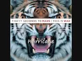 Download Lagu 30 Seconds To Mars - Hurricane (HD sound)