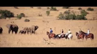 Borana 2016 Film Final Cut 