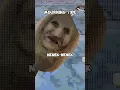 Download Lagu IKAN MACAM APA INI?