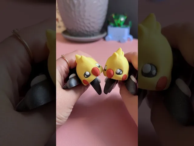 Love birds + friends video thumbnail