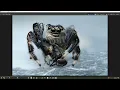 HOW TO USE HELICON FOCUS AND FIX ERRORS