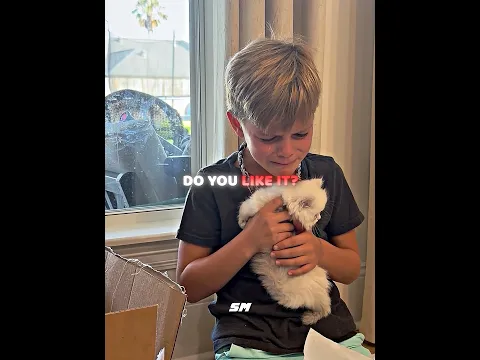 He Thought It Was Just A Regular Gift And Couldn't Hold Back His Tears When He Saw The Kitten