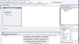 Visual Basic Tooltip Using