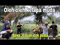 Lagu 30 BUAH KELAPA MUDA STOK BERBUKA PUASA⁉️ OLEH-OLEH DARI DUMAI TRIMAKASIH MAK…..?