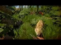 Green Hell Part 2 - The Co-op Mode
