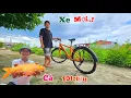 Download Lagu Nhặt Được Cá Koi 10 Triệu Và Mua Chiếc Xe Mới Cho Hiệp...