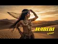 Download Lagu Habibi Nights (حبيبي نايتس) 2025 🎶 Ultimate Arabic Dance Anthem