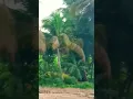 Download Lagu Nature ✨#travelingwithnature #song#goviral  #funtimewithfamily  #entertainment#trending#viral #tamil