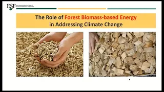 The Role of Forest Biomass in Addressing Climate Change Rbt Malmsheimer Webinar 7 by Froling Energ